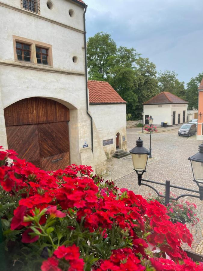 Pension Alt Naumburg 萨勒河畔瑙姆堡 外观 照片